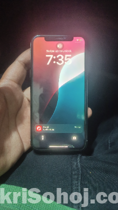 iPhone Xs 256 GB Bypass